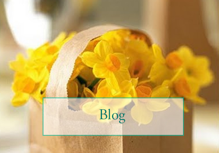blog