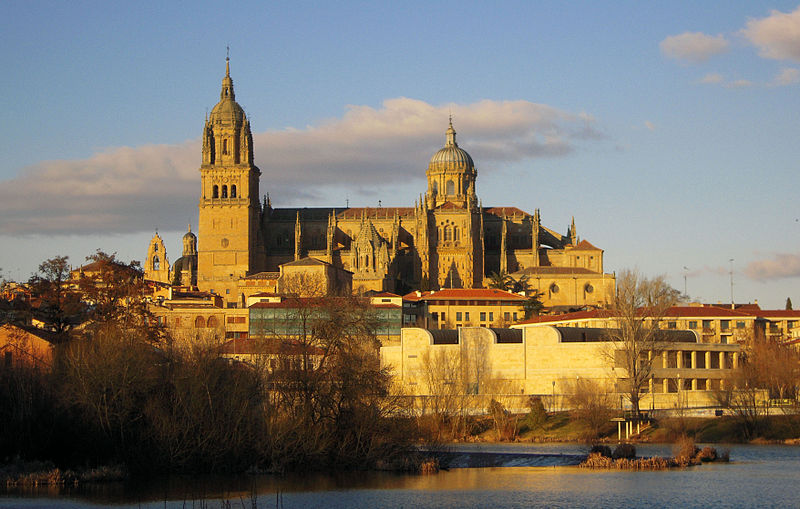 Vista de la Catedral de Salamanca desde la ribera del río Tormes